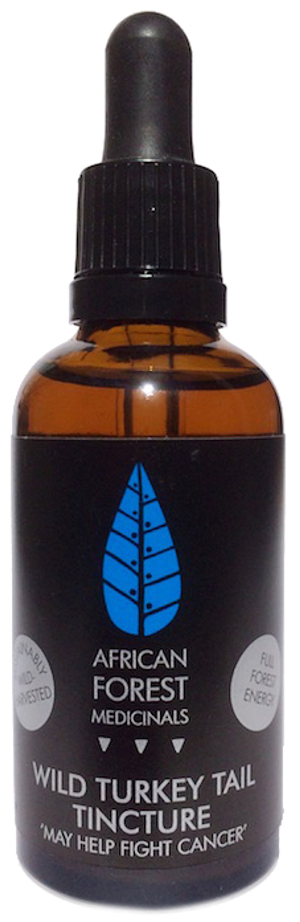 African Forest Medicinals Cover Image